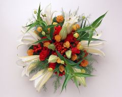 Tapeta Nature Flowers 239.jpg